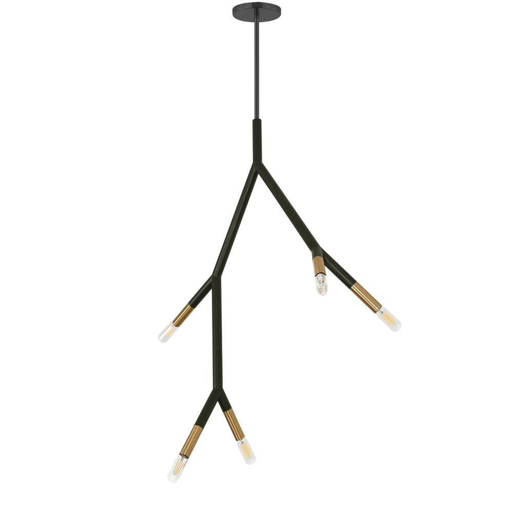 5 Light Incandescent Pendant in Matte Black / Aged Brass