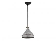 Golden Canada 0877-M ABI-GV - Jasper 1-Light Pendant in Antique Black Iron with Galvanized Steel