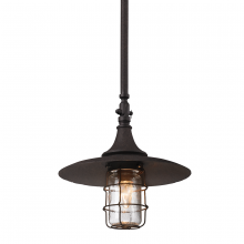 Troy F3228-HBZ - Allegheny Pendant