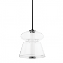 Hudson Valley 5313-BLNK - 1 LIGHT PENDANT