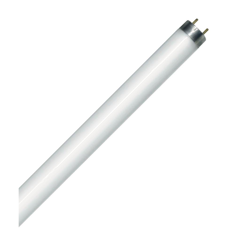 Fluorescent LINEAR T8 15IN Med Bipin Base 14W 4100K Preheat Start (PH) Standard