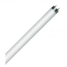 Standard Products 15805 - Fluorescent LINEAR T8 15IN Med Bipin Base 14W 4100K Preheat Start (PH) Standard