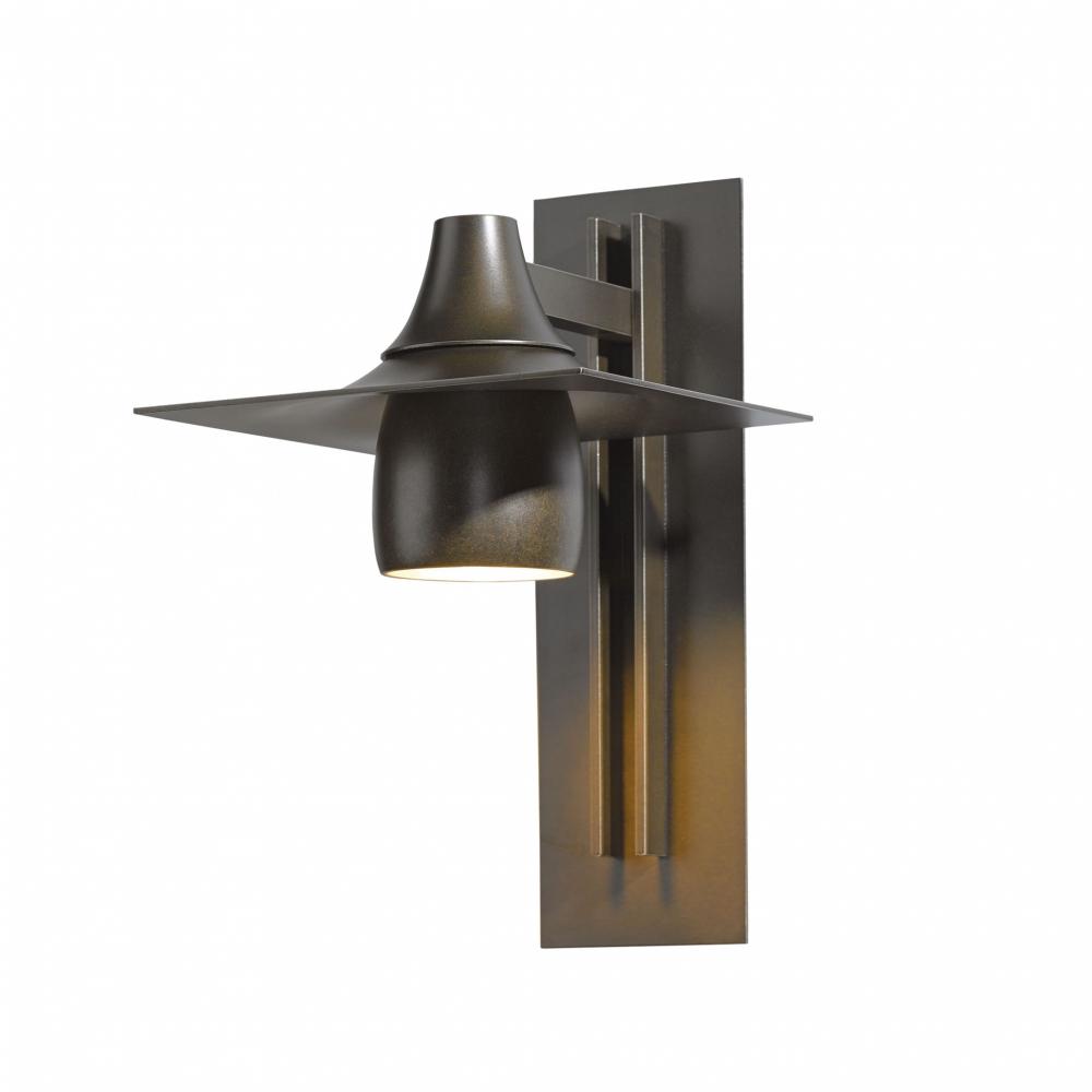 Hood Large Dark Sky Outdoor Sconce