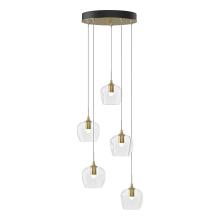 Hubbardton Forge - Canada 131123-SKT-STND-86-ZM0709 - Ume 5-Light Pendant