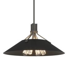 Hubbardton Forge - Canada 136340-SKT-MULT-20-10 - Henry Pendant