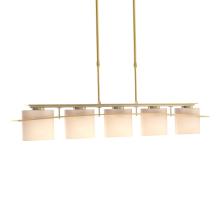 Hubbardton Forge - Canada 137525-SKT-LONG-86-GG0182 - Arc Ellipse 5 Light Pendant