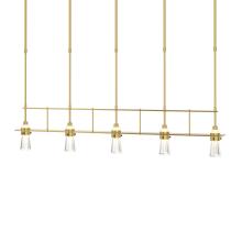 Hubbardton Forge - Canada 137725-SKT-SHRT-86-ZM0343 - Erlenmeyer 5 Light Pendant