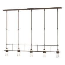 Hubbardton Forge - Canada 137725-SKT-STND-05-ZM0343 - Erlenmeyer 5 Light Pendant