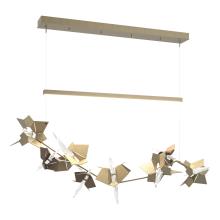 Hubbardton Forge - Canada 139813-LED-STND-84-05-CR - Belladonna LED Pendant