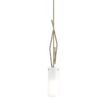 Hubbardton Forge - Canada 186670-SKT-MULT-84-GG0336 - Brindille Mini Pendant