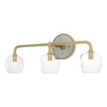 Hubbardton Forge - Canada 201342-SKT-86-85-ZM0709 - Ume 3-Light Curved Arm Bath Sconce