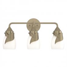 Hubbardton Forge - Canada 201352-SKT-84-GG0330 - Lapas 3-Light Bath Sconce