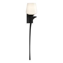 Hubbardton Forge - Canada 204710-SKT-RGT-10-GG0236 - Antasia Single Glass 1 Light Sconce