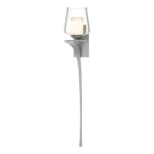 Hubbardton Forge - Canada 204712-SKT-LFT-82-ZU0291 - Antasia Double Glass 1 Light Sconce