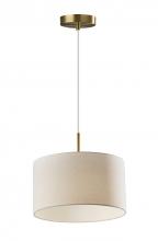 AFJ - Adesso 5302-21 - Finley Pendant