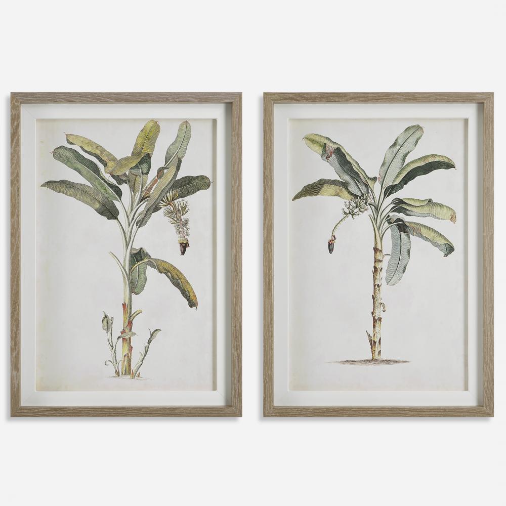 Uttermost Banana Palm Framed Prints, Set/2